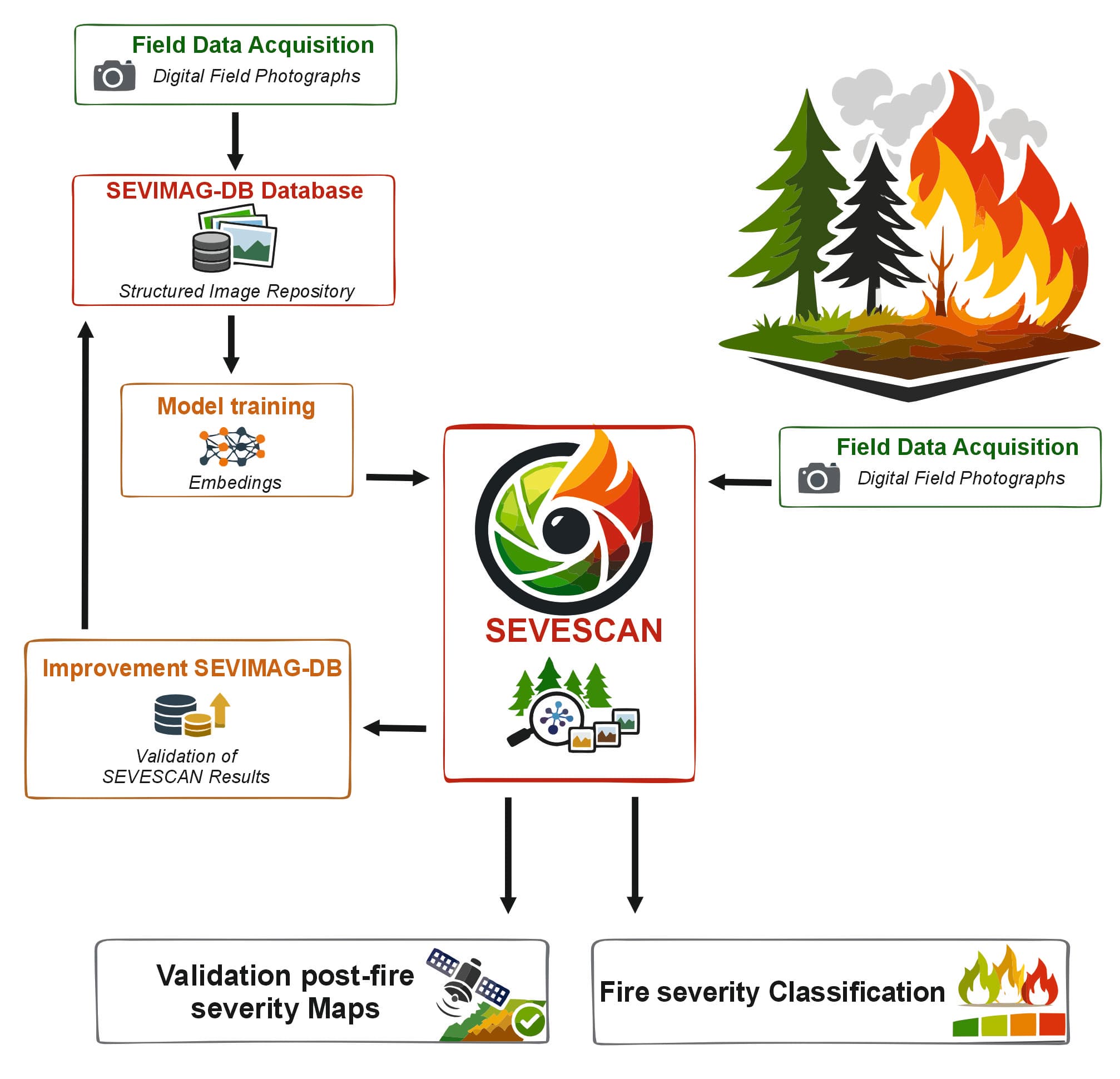 SEVESCAN technology workflow